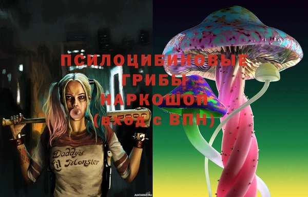 тгк Зеленодольск