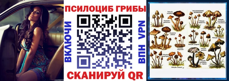 цена   Искитим  Галлюциногенные грибы GOLDEN TEACHER 